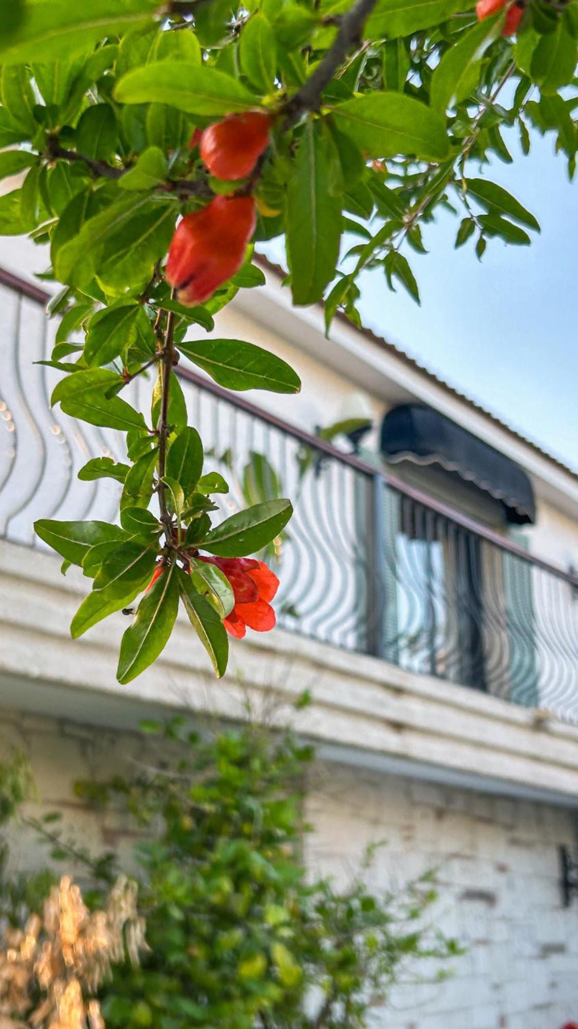 N Hotels Cesme Dalyankoy  Экстерьер фото